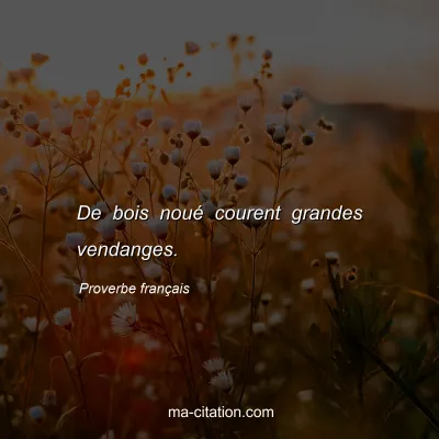 Proverbe franÃ§ais : De bois nouÃ© courent grandes vendanges.