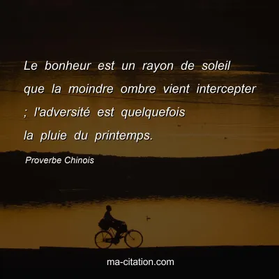 Proverbe Chinois : Le bonheur est un rayon de soleil que la moindre ombre vient intercepter ; l'adversitÃ© est quelquefois la pluie du printemps.
