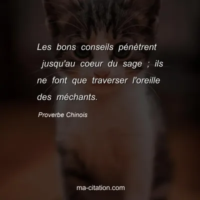 Proverbe Chinois : Les bons conseils pÃ©nÃ¨trent  jusqu'au coeur du sage ; ils ne font que traverser l'oreille des mÃ©chants.