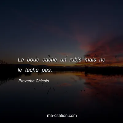 Proverbe Chinois : La boue cache un rubis mais ne le tache pas.