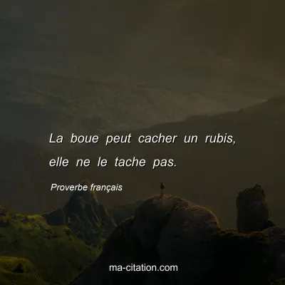 Proverbe franÃ§ais : La boue peut cacher un rubis, elle ne le tache pas.