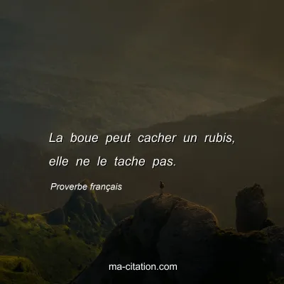 Proverbe français : La boue peut cacher un rubis, elle ne le tache pas.