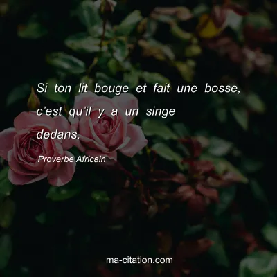 Proverbe Africain : Si ton lit bouge et fait une bosse, câ€™est quâ€™il y a un singe dedans.