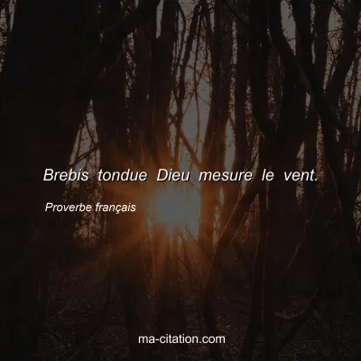 Proverbe franÃ§ais : Brebis tondue Dieu mesure le vent.