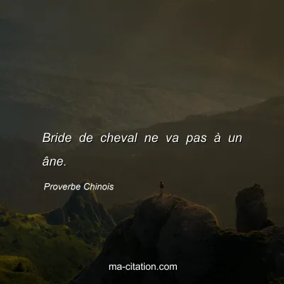 Proverbe Chinois : Bride de cheval ne va pas Ã  un Ã¢ne.