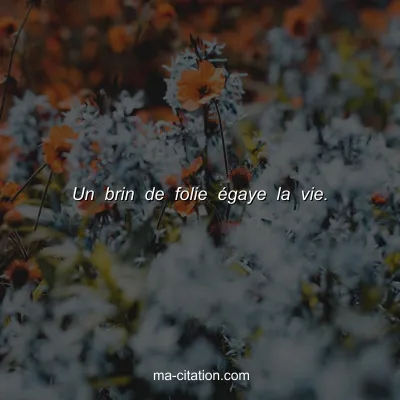 Un brin de folie Ã©gaye la vie.
