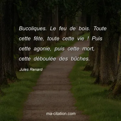 Jules Renard : Bucoliques. Le feu de bois. Toute cette fÃªte, toute cette vie ! Puis cette agonie, puis cette mort, cette dÃ©boulÃ©e des bÃ»ches.