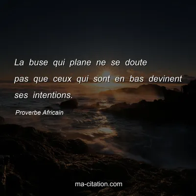 Proverbe Africain : La buse qui plane ne se doute pas que ceux qui sont en bas devinent ses intentions.