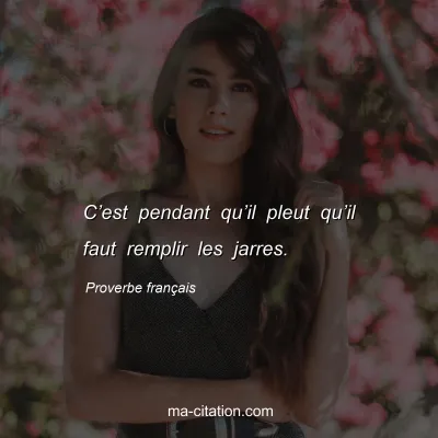 Proverbe franÃ§ais : Câ€™est pendant quâ€™il pleut quâ€™il faut remplir les jarres.