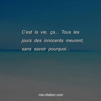 Câ€™est la vie, Ã§a... Tous les jours des innocents meurent, sans savoir pourquoi...
