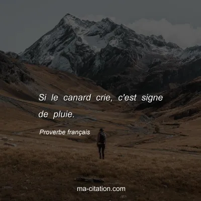 Proverbe franÃ§ais : Si le canard crie, c'est signe de pluie.