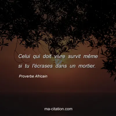 Proverbe Africain : Celui qui doit vivre survit mÃªme si tu l'Ã©crases dans un mortier.
