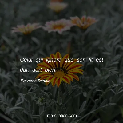 Proverbe Danois : Celui qui ignore que son lit est dur, dort bien.