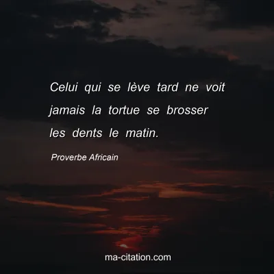 Proverbe Africain : Celui qui se lÃ¨ve tard ne voit jamais la tortue se brosser les dents le matin.