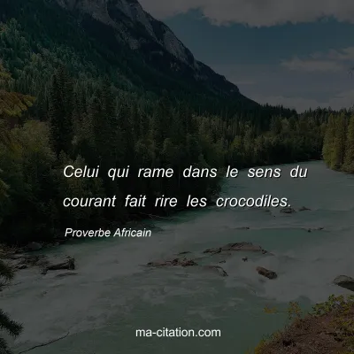 Proverbe Africain : Celui qui rame dans le sens du courant fait rire les crocodiles.