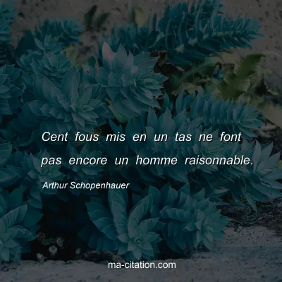 Arthur Schopenhauer : Cent fous mis en un tas ne font pas encore un homme raisonnable.