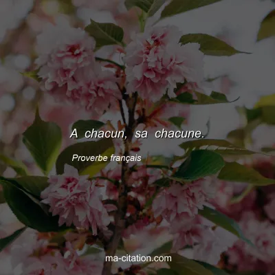 Proverbe franÃ§ais : A chacun, sa chacune.