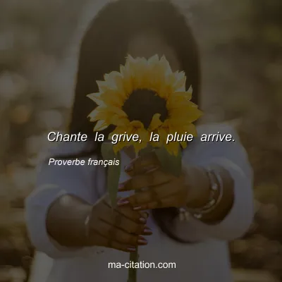 Proverbe franÃ§ais : Chante la grive, la pluie arrive.