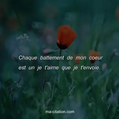 Chaque battement de mon coeur est un je t'aime que je t'envoie.