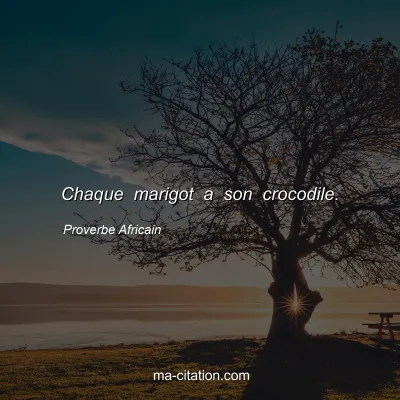 Proverbe Africain : Chaque marigot a son crocodile.