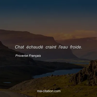Proverbe Français : Chat échaudé craint l'eau froide.