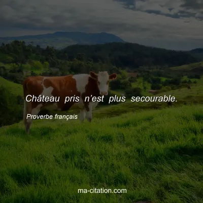 Proverbe franÃ§ais : ChÃ¢teau pris nâ€™est plus secourable.