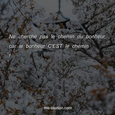 Ne cherche pas le chemin du bonheur, car le bonheur C'EST le chemin !