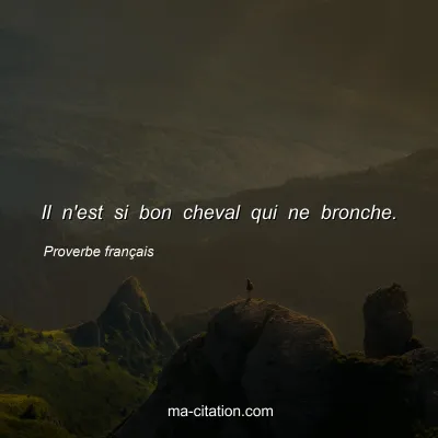 Proverbe franÃ§ais : Il n'est si bon cheval qui ne bronche.