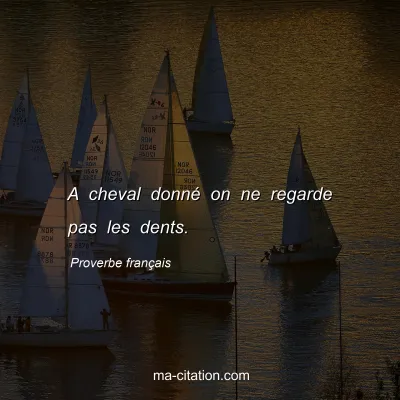 Proverbe franÃ§ais : A cheval donnÃ© on ne regarde pas les dents.