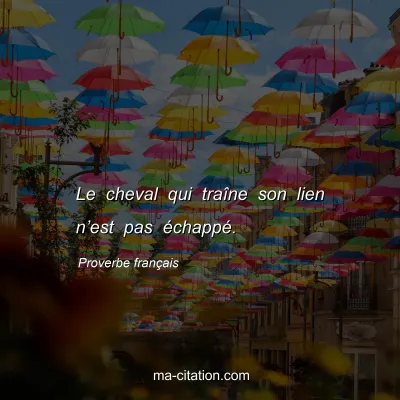 Proverbe franÃ§ais : Le cheval qui traÃ®ne son lien nâ€™est pas Ã©chappÃ©.
