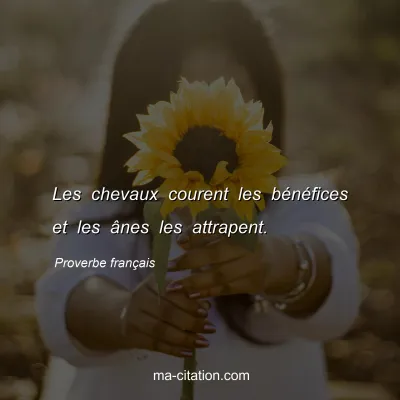 Proverbe franÃ§ais : Les chevaux courent les bÃ©nÃ©fices et les Ã¢nes les attrapent.