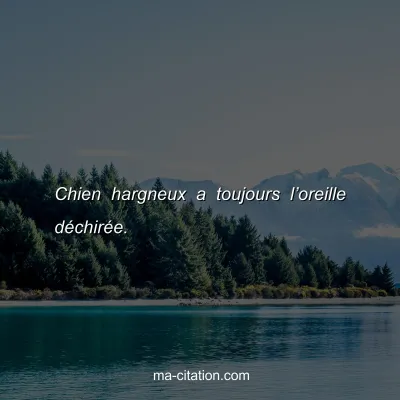 Chien hargneux a toujours lâ€™oreille dÃ©chirÃ©e.