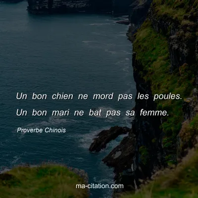 Proverbe Chinois : Un bon chien ne mord pas les poules. Un bon mari ne bat pas sa femme.