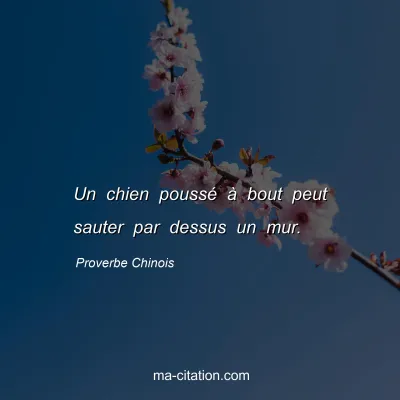 Proverbe Chinois : Un chien poussÃ© Ã  bout peut sauter par dessus un mur.