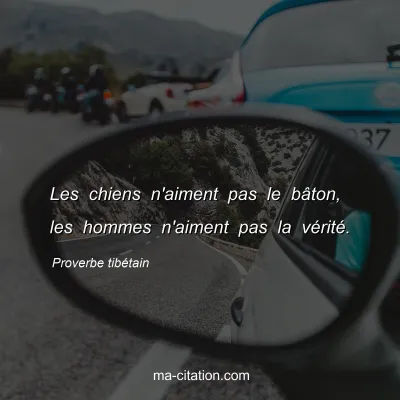 Proverbe tibÃ©tain : Les chiens n'aiment pas le bÃ¢ton, les hommes n'aiment pas la vÃ©ritÃ©.