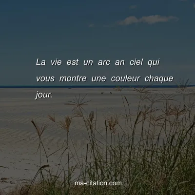 La vie est un arc an ciel qui vous montre une couleur chaque jour.