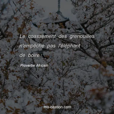 Proverbe Africain : Le coassement des grenouilles n'empÃªche pas l'Ã©lÃ©phant de boire.