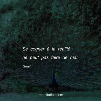 SmaÃ¯n : Se cogner Ã  la rÃ©alitÃ© ne peut pas faire de mal.