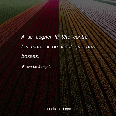 Proverbe franÃ§ais : A se cogner la tÃªte contre les murs, il ne vient que des bosses.