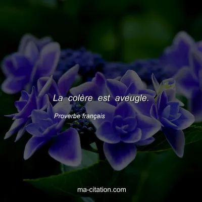 Proverbe franÃ§ais : La colÃ¨re est aveugle.