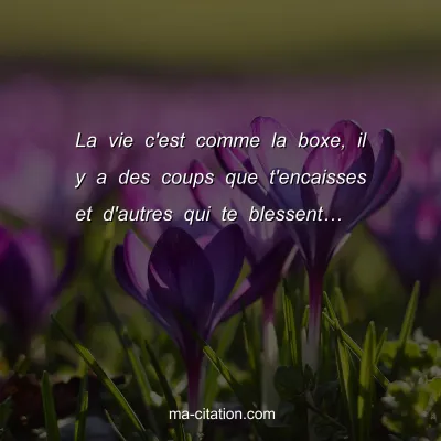 La vie c'est comme la boxe, il y a des coups que t'encaisses et d'autres qui te blessentâ€¦