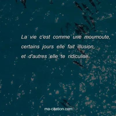 La vie c'est comme une moumoute, certains jours elle fait illusion, et d'autres elle te ridiculise.