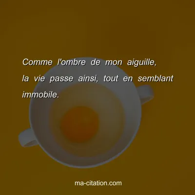Comme l'ombre de mon aiguille, la vie passe ainsi, tout en semblant immobile.