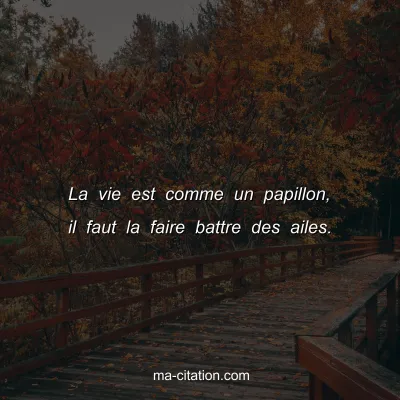 La vie est comme un papillon, il faut la faire battre des ailes.