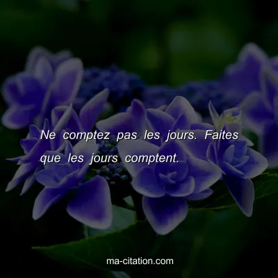 Ne comptez pas les jours. Faites que les jours comptent.