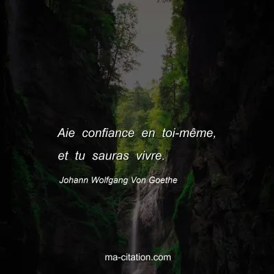 Johann Wolfgang Von Goethe : Aie confiance en toi-même, et tu sauras vivre.