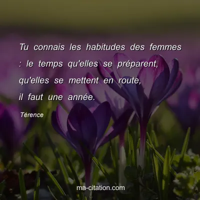 TÃ©rence : Tu connais les habitudes des femmes : le temps qu'elles se prÃ©parent, qu'elles se mettent en route, il faut une annÃ©e.