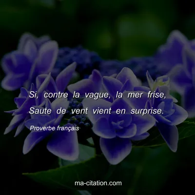 Proverbe franÃ§ais : Si, contre la vague, la mer frise, Saute de vent vient en surprise.