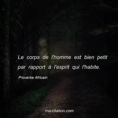 Proverbe Africain : Le corps de l'homme est bien petit par rapport Ã  l'esprit qui l'habite.