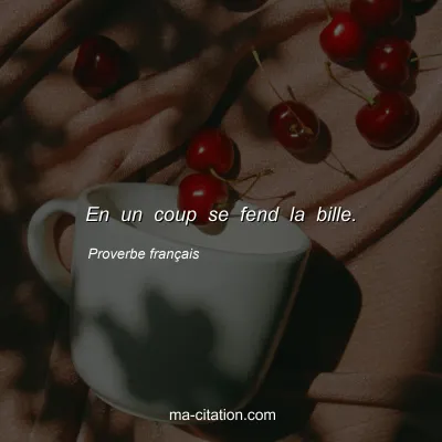 Proverbe franÃ§ais : En un coup se fend la bille.